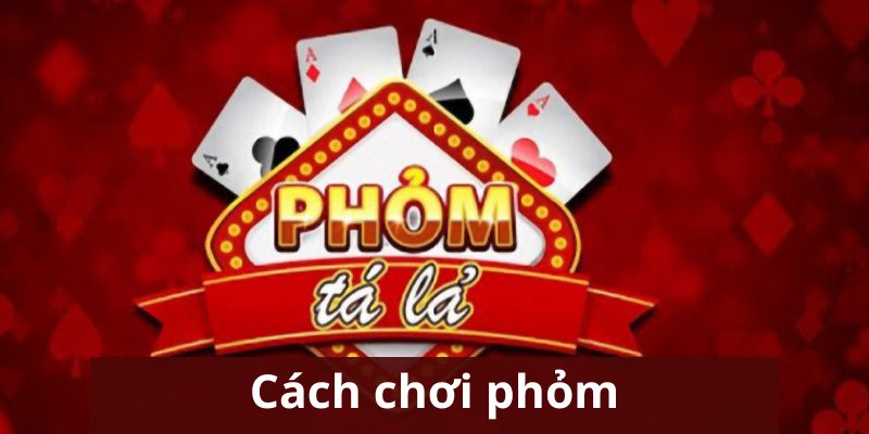 Cách chơi phỏm Sbobet siêu dễ hiểu cho newbie